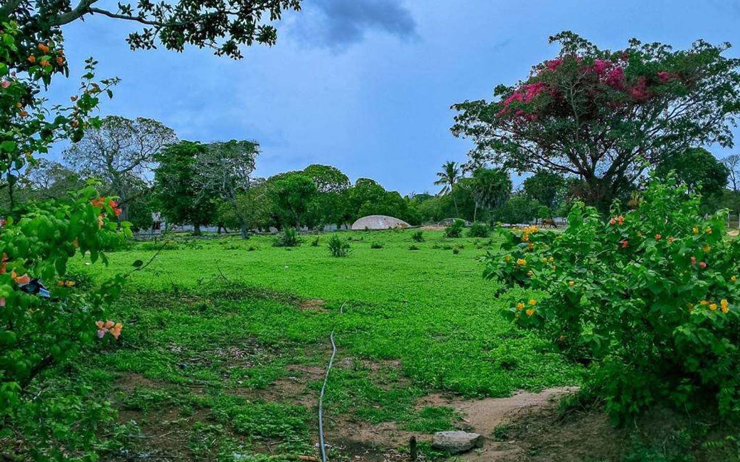 Tamu Shairi Plots 004 Gopherwood Investments