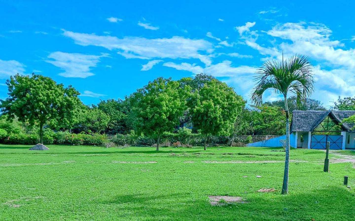 Tamu Shairi Plots 007 Gopherwood Investments